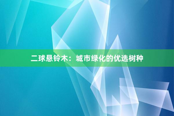 二球悬铃木：城市绿化的优选树种