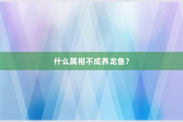 什么属相不成养龙鱼？
