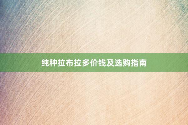 纯种拉布拉多价钱及选购指南