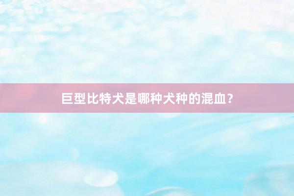 巨型比特犬是哪种犬种的混血？