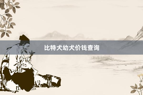 比特犬幼犬价钱查询
